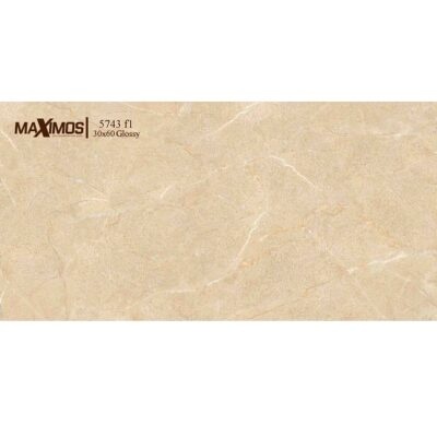 Gạch Vitto 5743F1 ốp tường 30x60