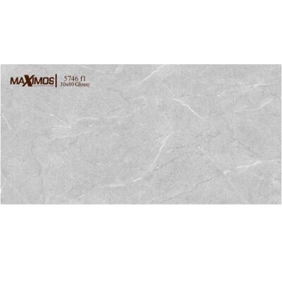Gạch Vitto 5746F1 ốp tường 30x60